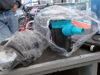 Foto de (sf) Betterware  23142 - Publicado el: 01 Abr 2025