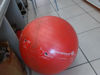 Foto de (sf)  Trainer Ball Pelota - Publicado el: 04 Abr 2025