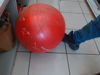 Foto de (sf)  Trainer Ball Pelota - Publicado el: 04 Abr 2025