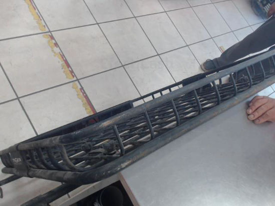 Foto de (sb) Tiger  Cesta - Publicado el: 28 May 2025