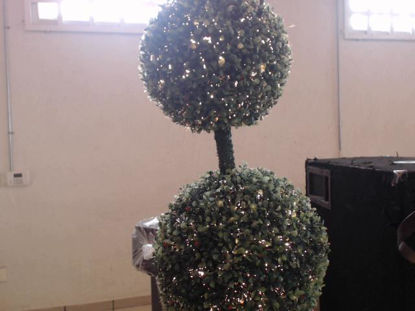 Foto de (sf) Arbol Luces - Publicado el: 15 Jul 2025